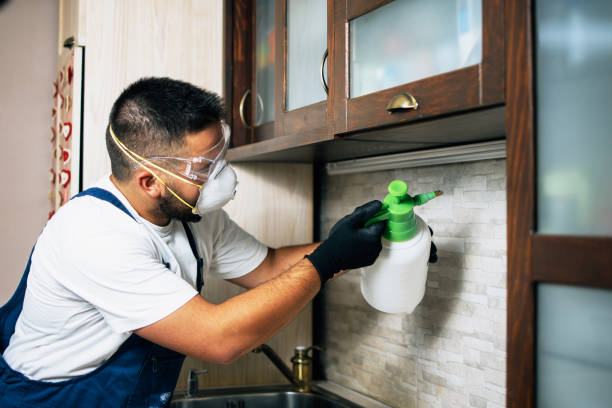 Best Affordable Pest Control Services  in Elgin, MN