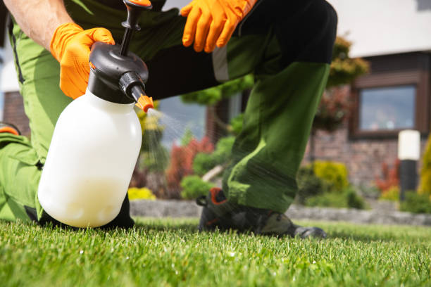 Best Pest Prevention Services  in Elgin, MN
