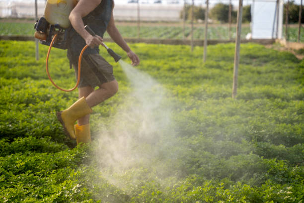 Pest Control for Restaurants in Elgin, MN