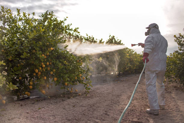 Best Mosquito Control Services  in Elgin, MN