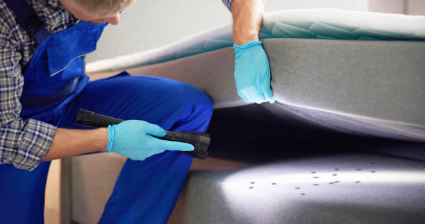 Best Mosquito Control Services  in Elgin, MN