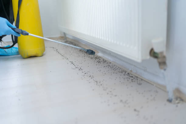 Best Residential Pest Control  in Elgin, MN