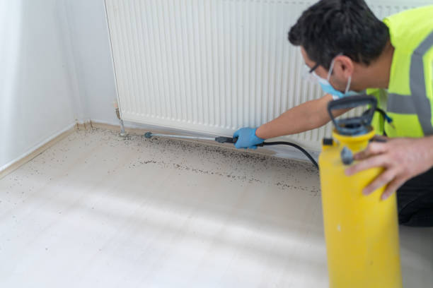 Best Local Pest Control Services  in Elgin, MN