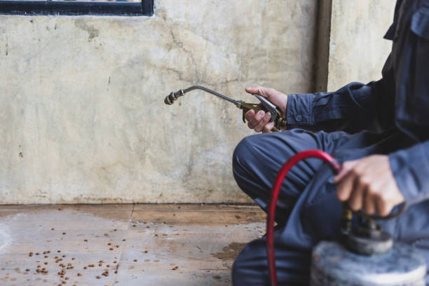 Best Affordable Pest Control Services  in Elgin, MN