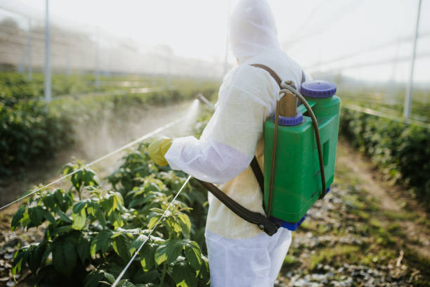 Best Pest Removal Services  in Elgin, MN